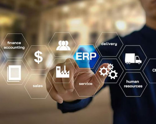 Customised ERP Development